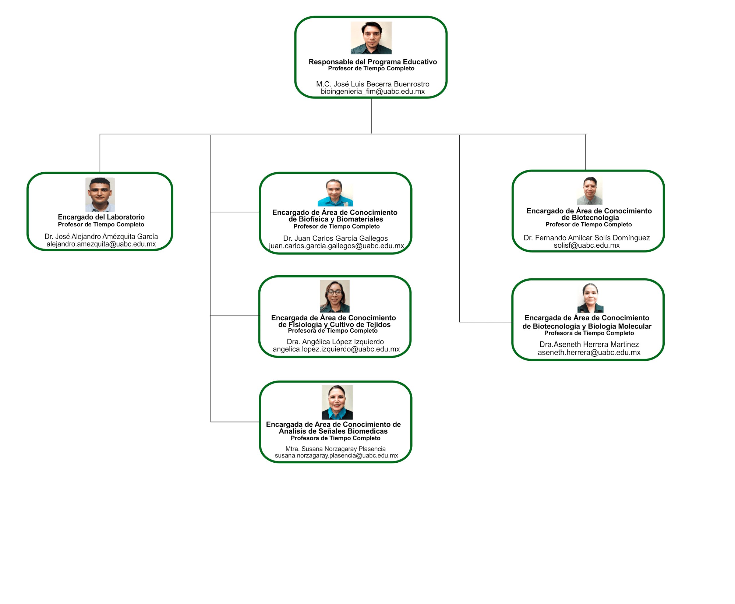 Bioingenieriaorganigrama