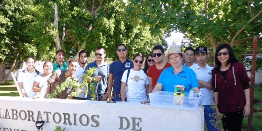 foto4