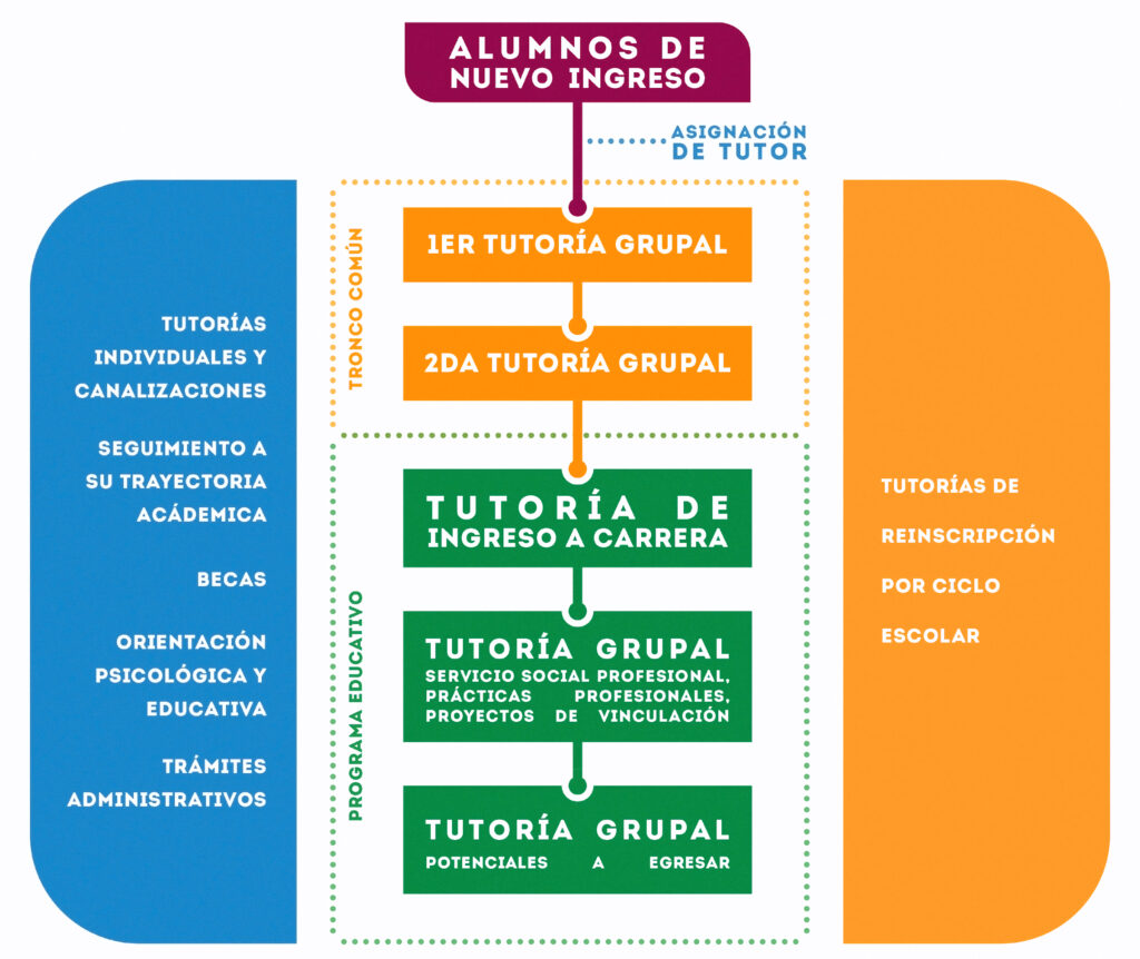 Proceso de Tutorias